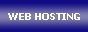 Web Hosting Services