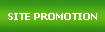 Web Site Promotions