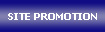 Web Site Promotions